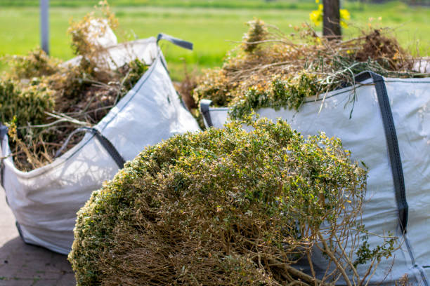 Best Hoarding Cleanup  in Eunice, NM